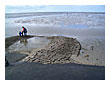 Auch bei Ebbe ein Erlebnis: Das Wattenmeer